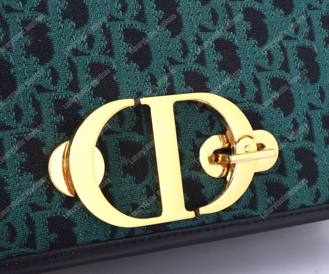 D*or 30 montaigne bag in green oblique canvas