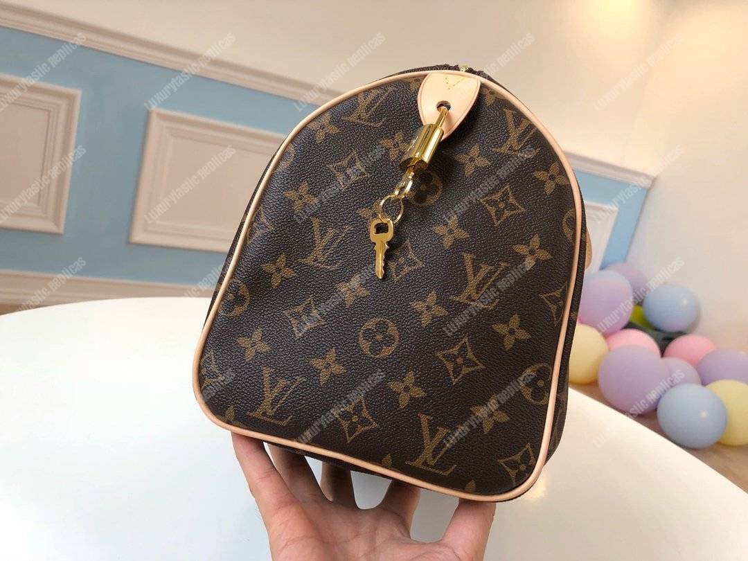 LV Speedy 30 Monogram Canvas