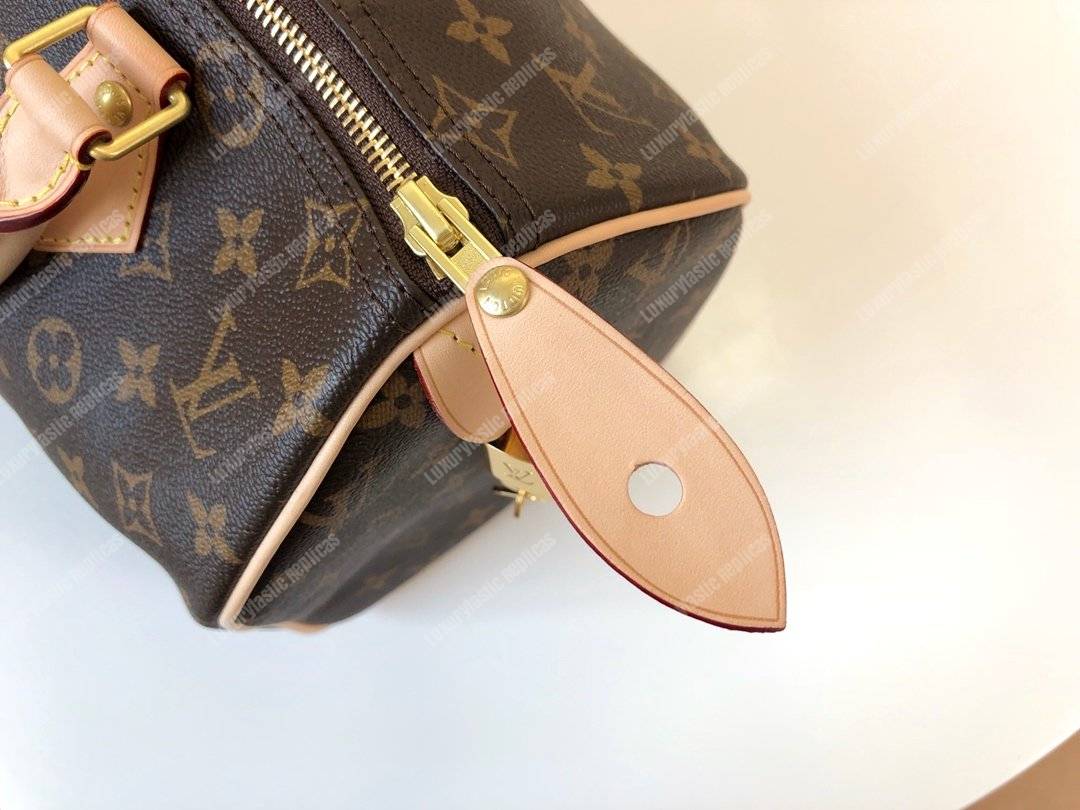 LV Speedy 30 Monogram Canvas