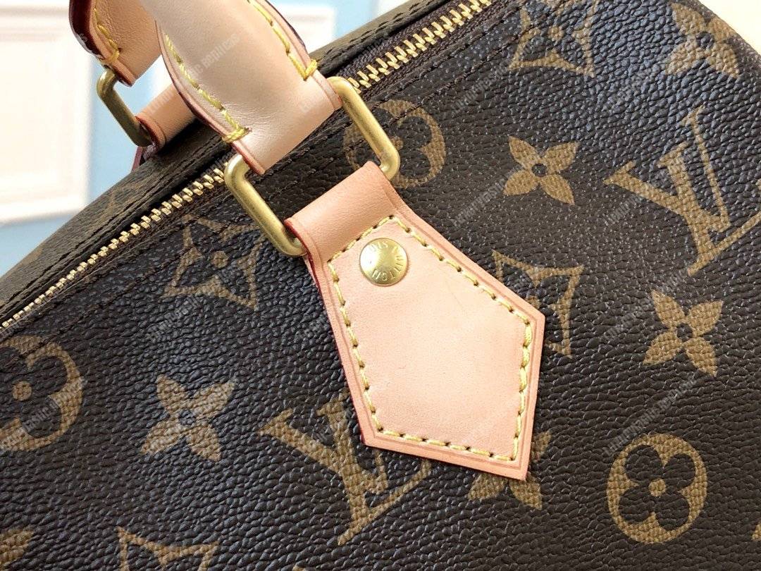 LV Speedy 30 Monogram Canvas