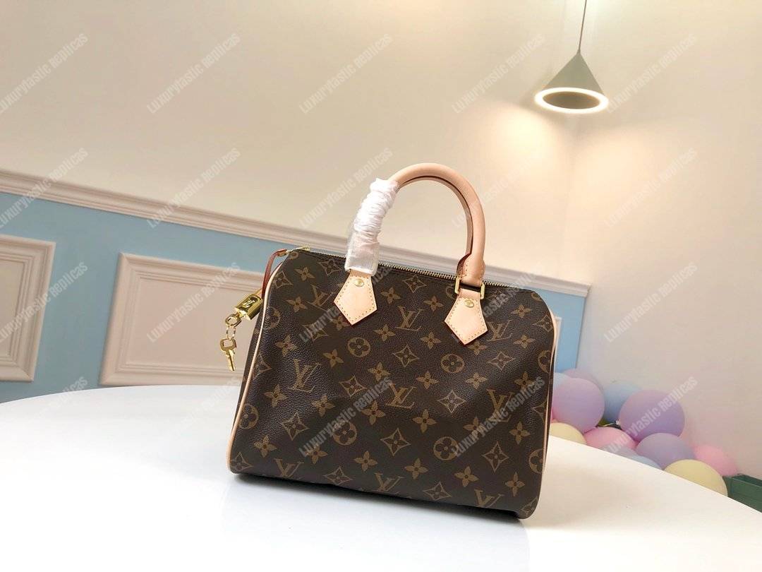LV Speedy 25 Monogram Canvas
