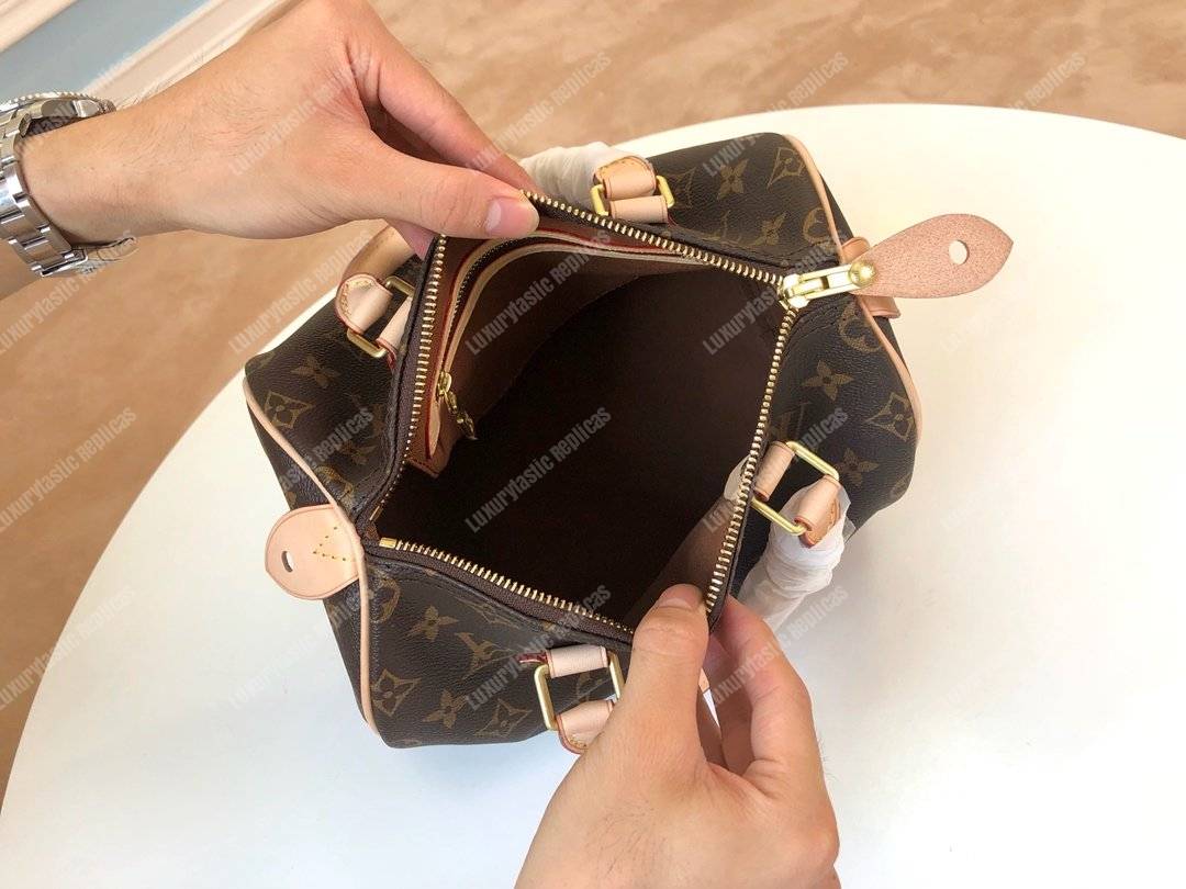 LV Speedy 25 Monogram Canvas