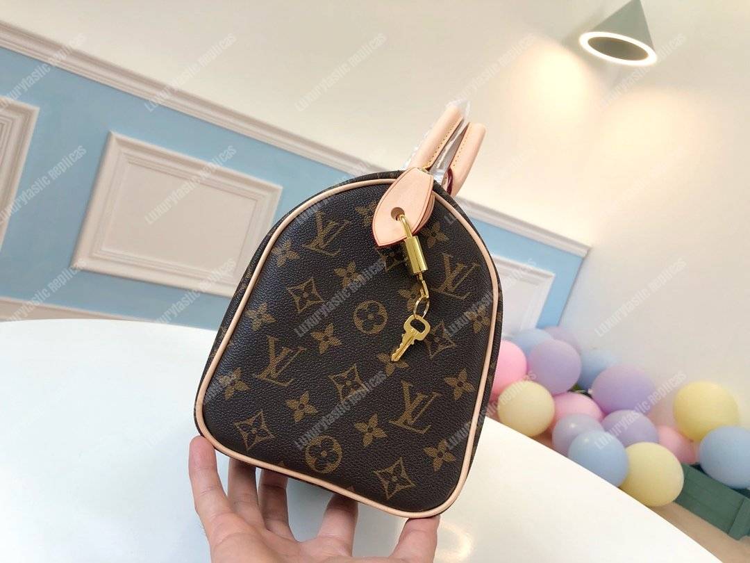 LV Speedy 25 Monogram Canvas
