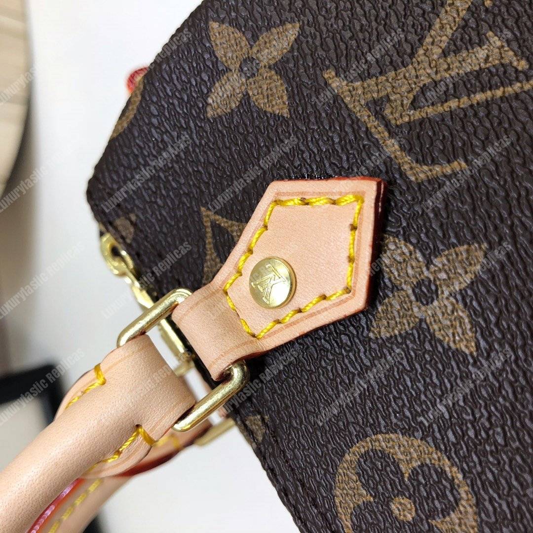 LV Nano Speedy Monogram