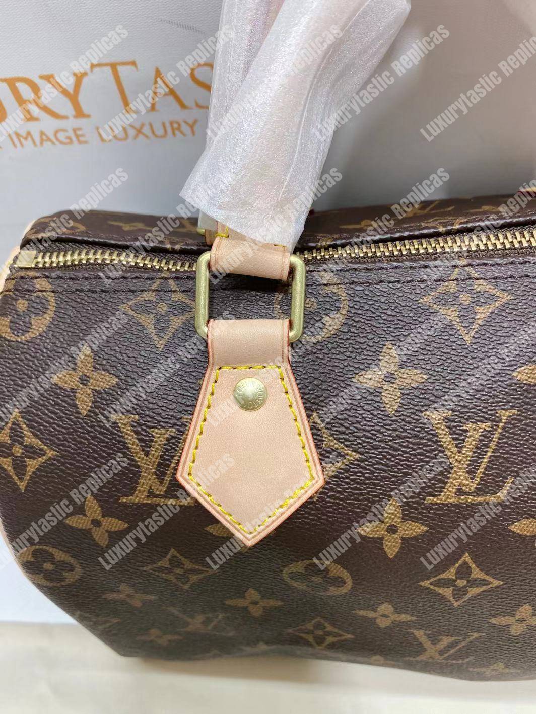 LV Speedy 25 Monogram Canvas