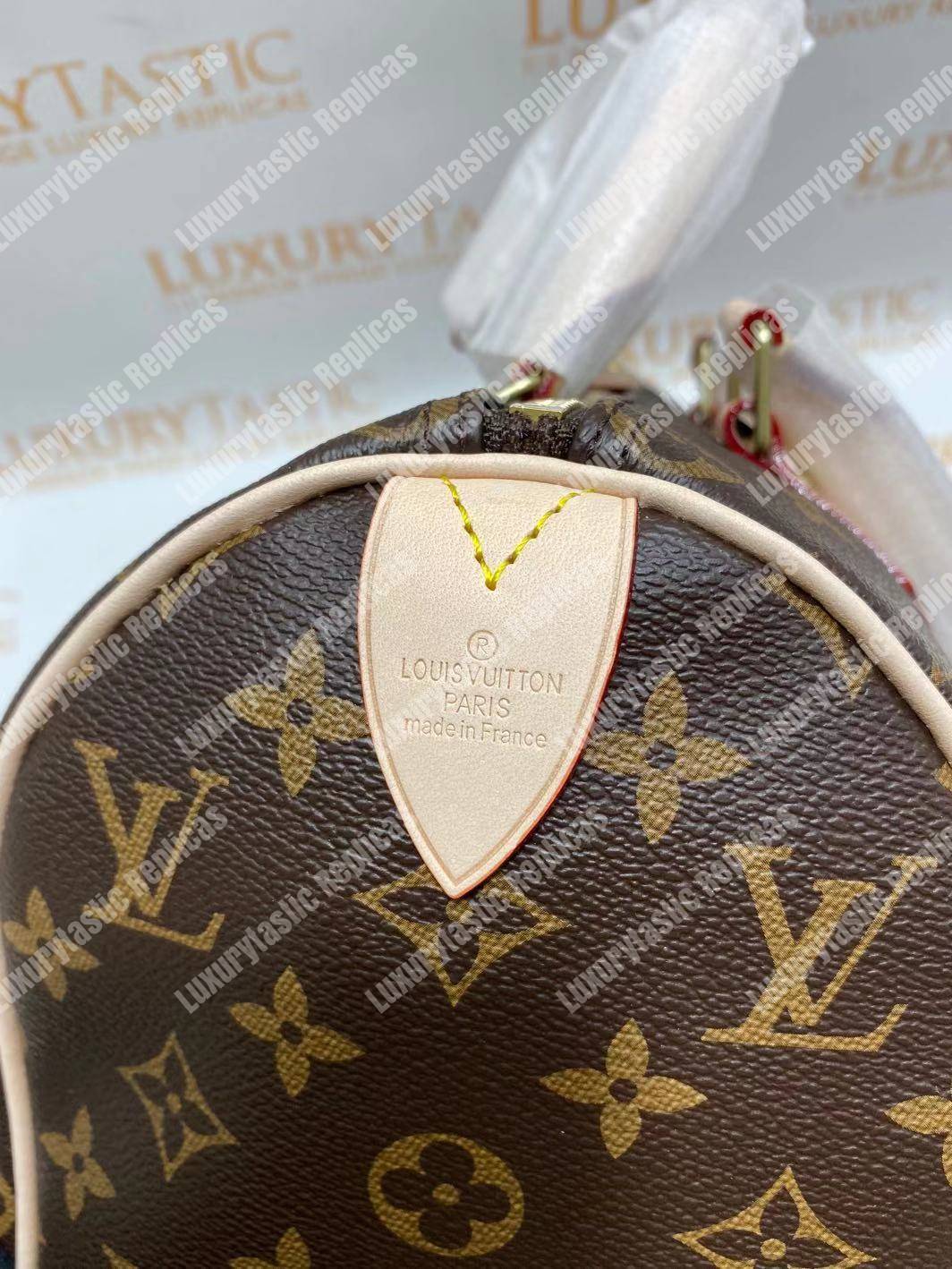 LV Speedy 25 Monogram Canvas