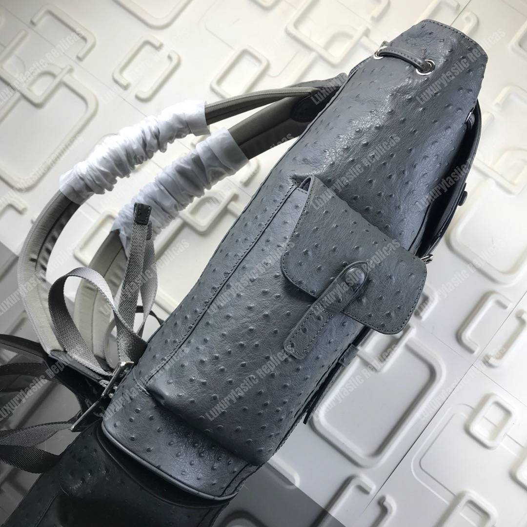 LV Christopher Backpack Autruche