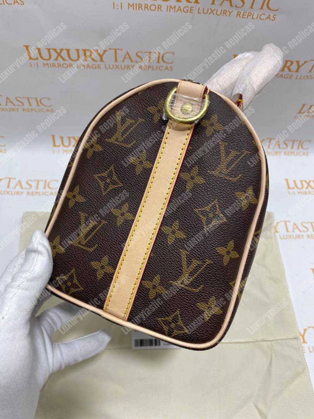 LV Speedy Bandouliere 25 Monogram