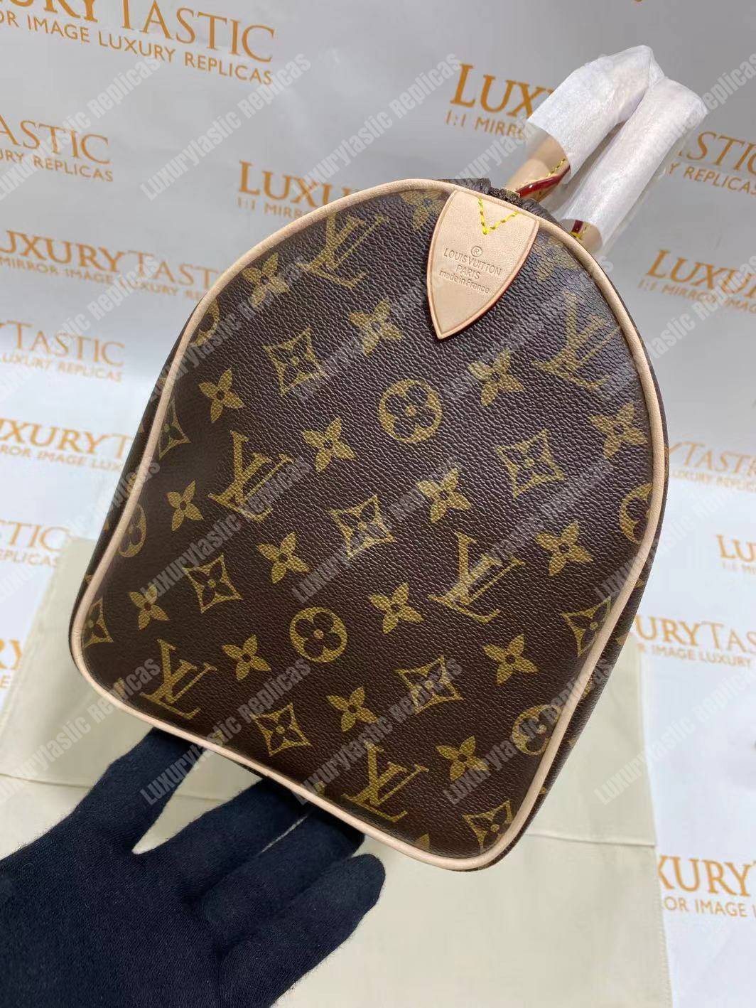 LV Speedy 30 Monogram Canvas