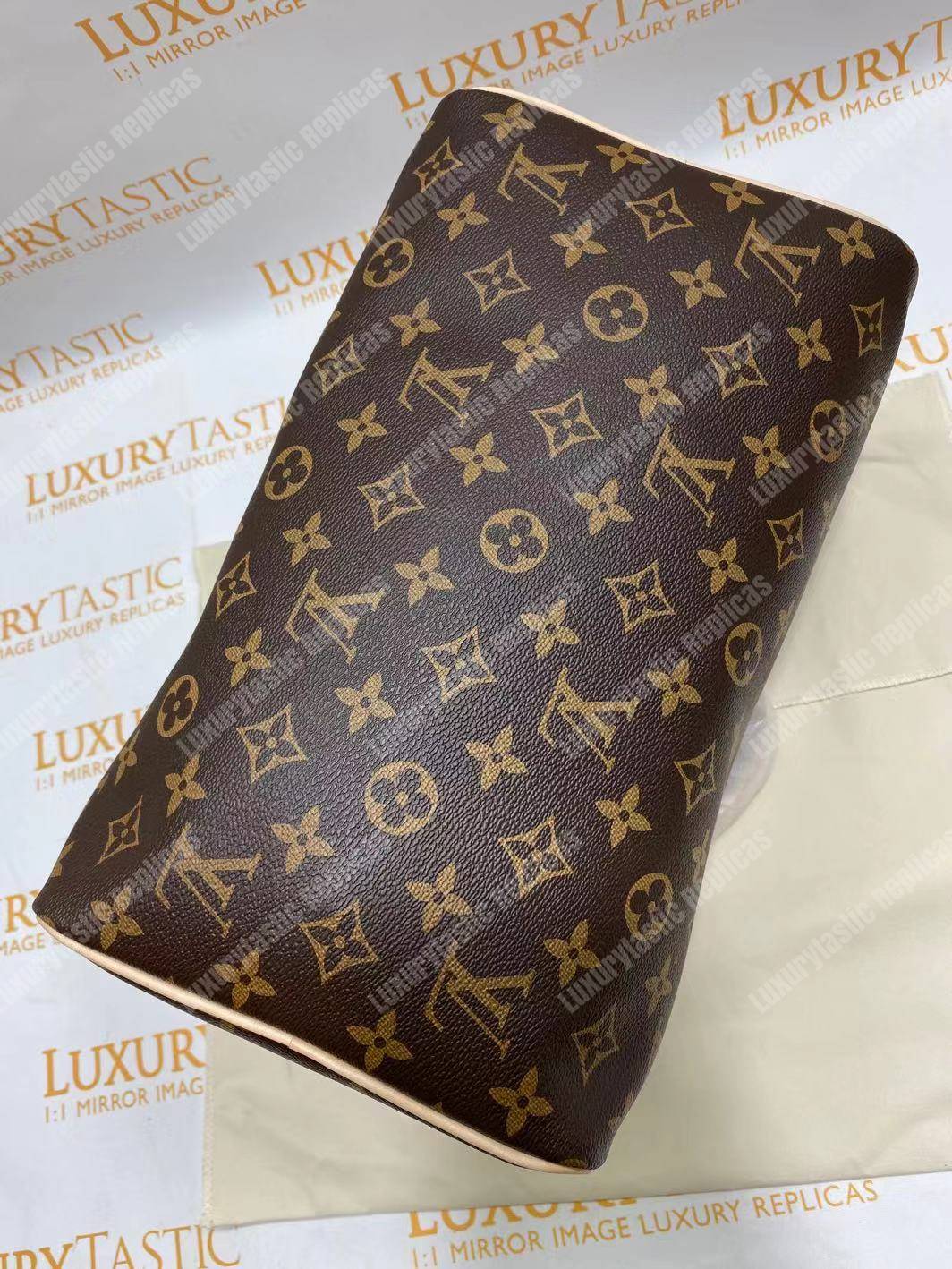 LV Speedy 30 Monogram Canvas
