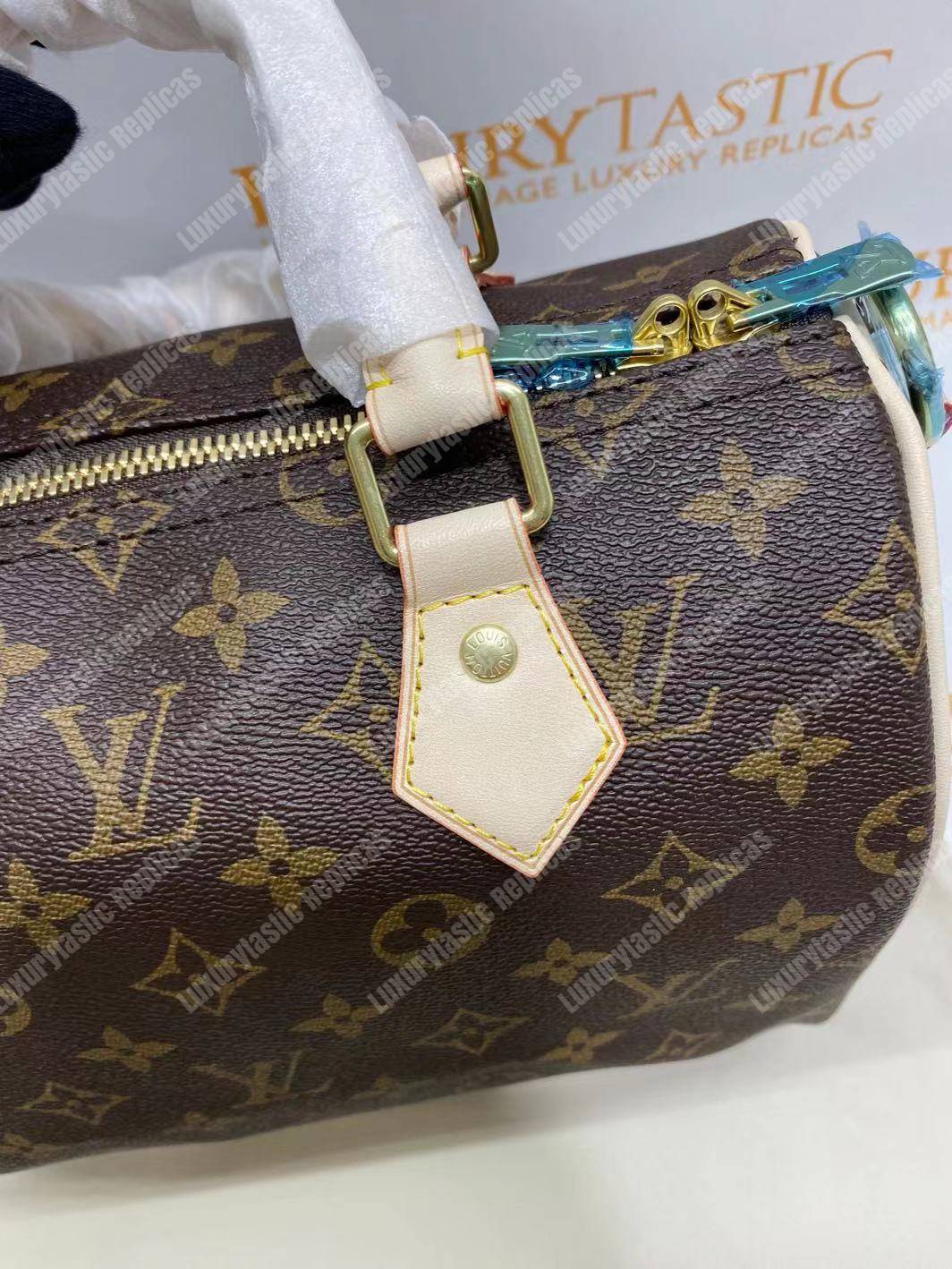 LV Speedy 30 Monogram Canvas