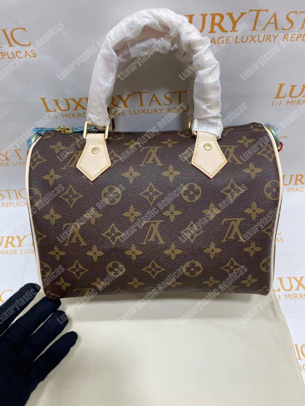 LV Speedy 30 Monogram Canvas