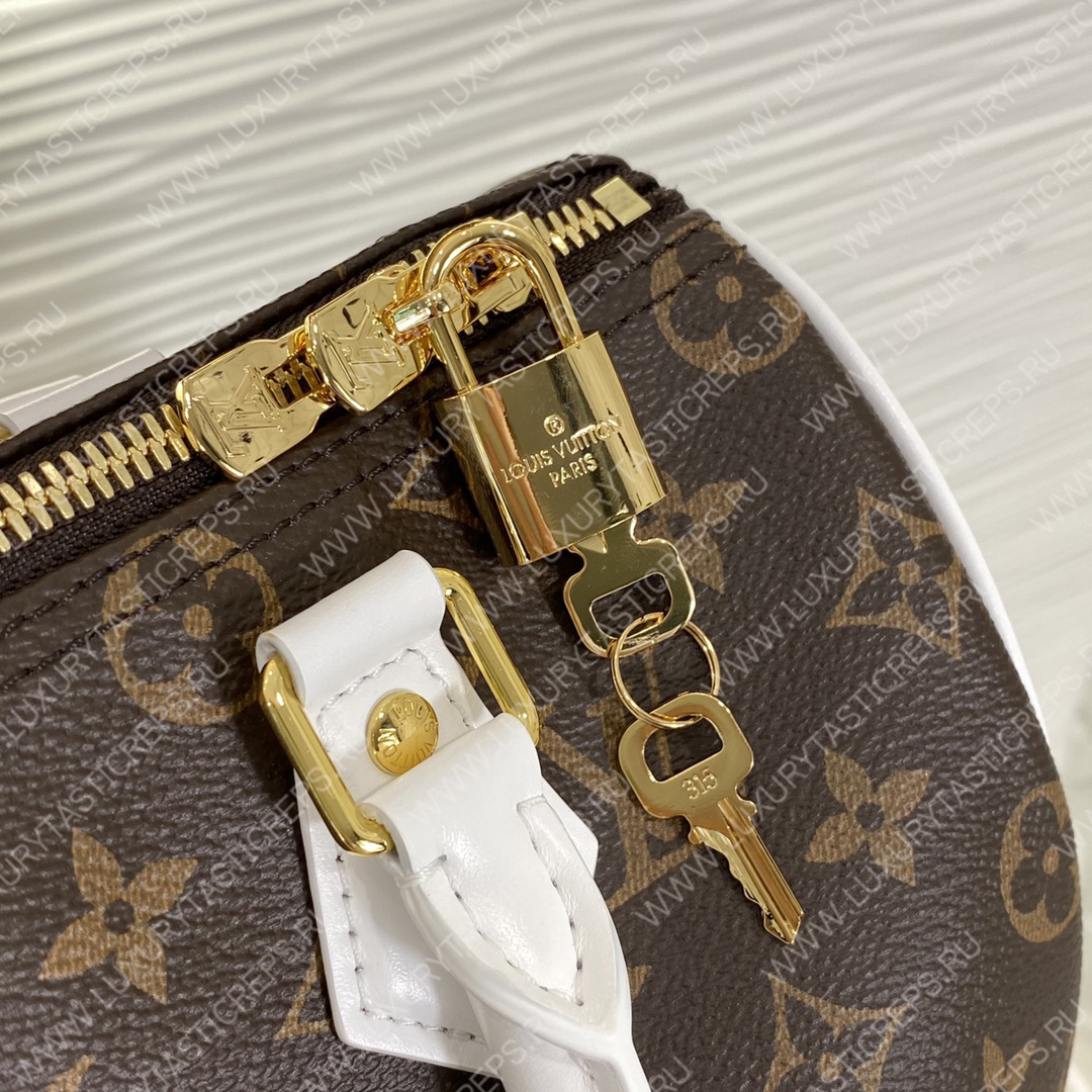 l**is V*t*n speedy bandouliÈre 25 brown m20754