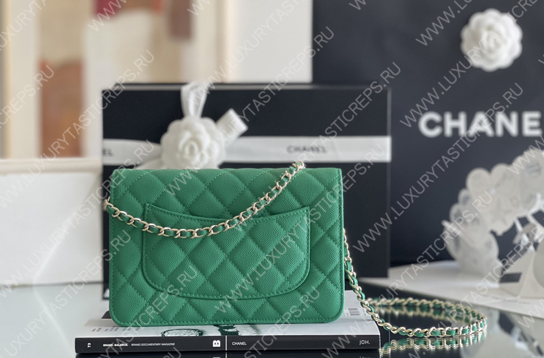 Ch*el classic wallet on chain green ap0250