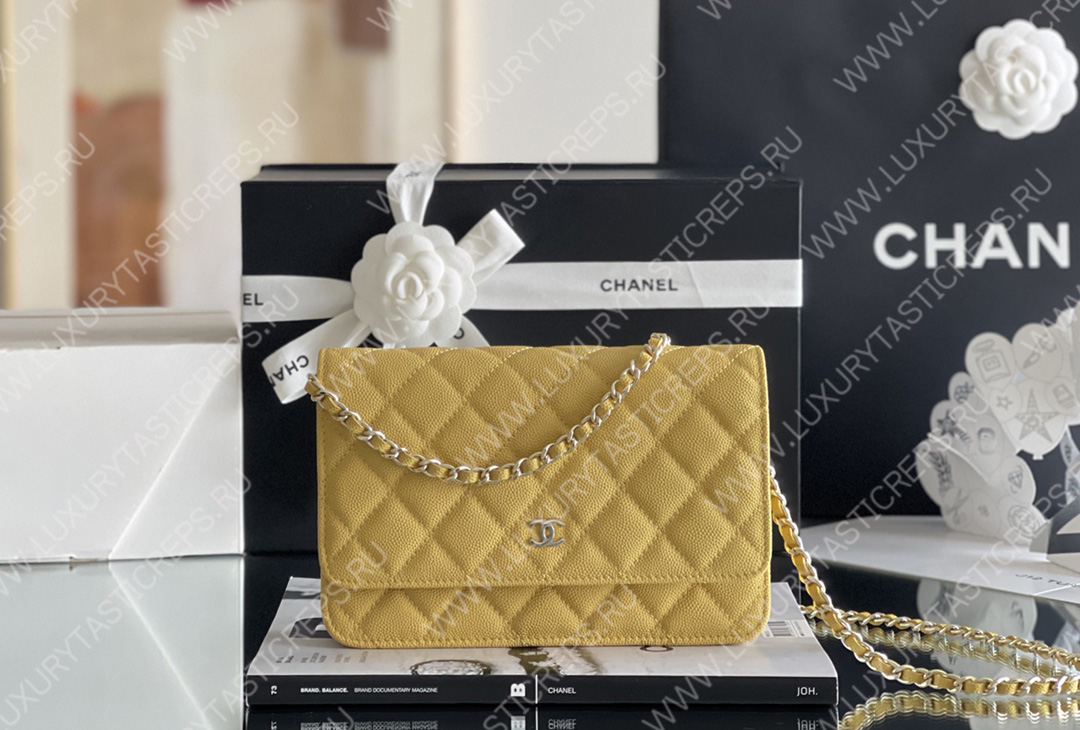 Ch*el wallet on chain yellow ap3009