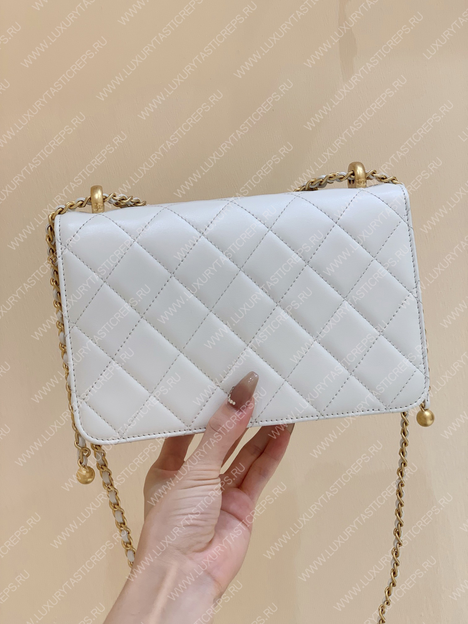 Ch*el wallet on chain white ap2649